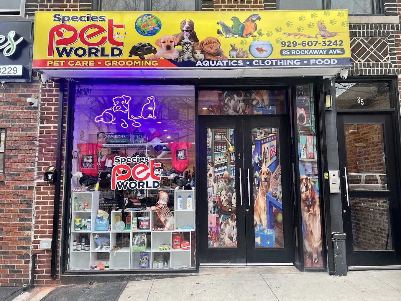 Best reptile stores near me hot sale