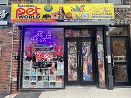16 best pet stores in Bed-Stuy New York City