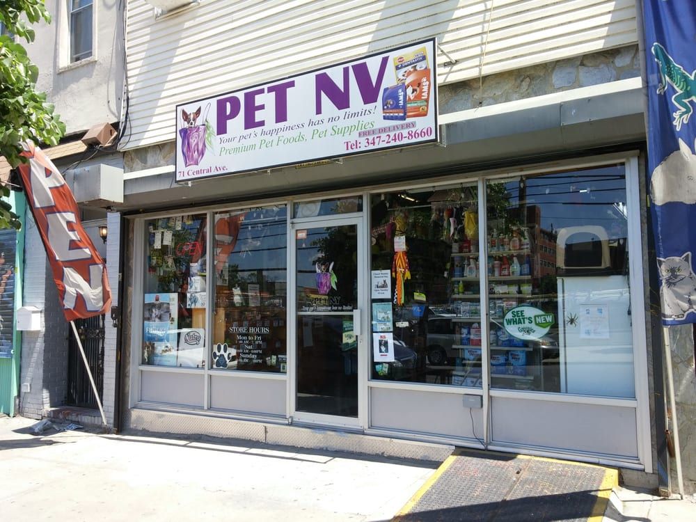 16 best pet stores in Bed Stuy New York City