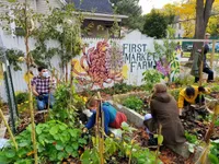 7 Best community gardens in Rochester New York