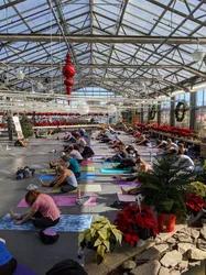 5 best outdoor yoga in Syracuse New York