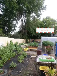 Best of 5 community gardens in Syracuse New York City