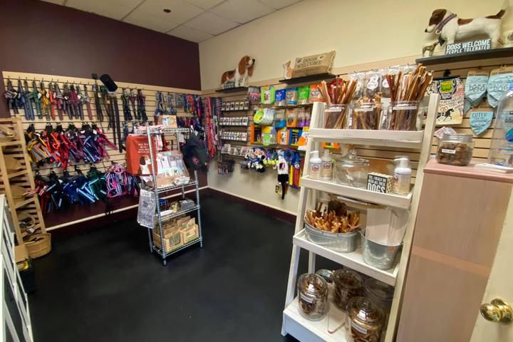 7 Best pet stores in Syracuse New York