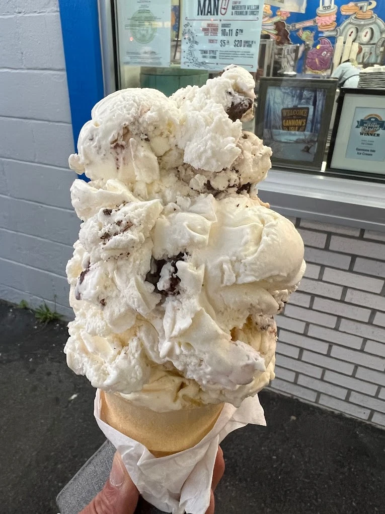 15 Best ice cream shops in Syracuse New York
