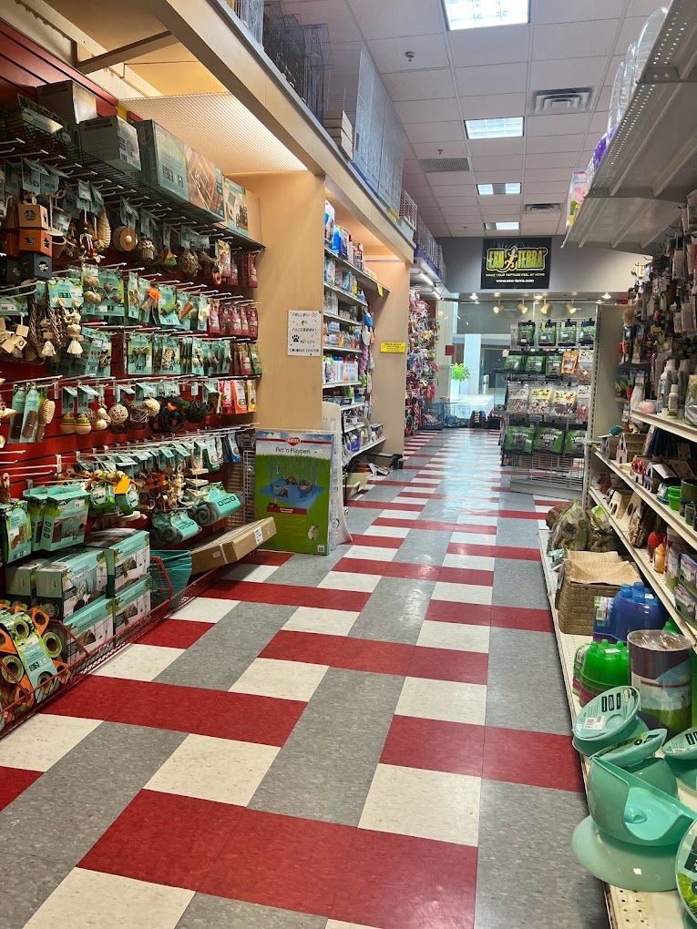 6 best pet stores in Albany New York