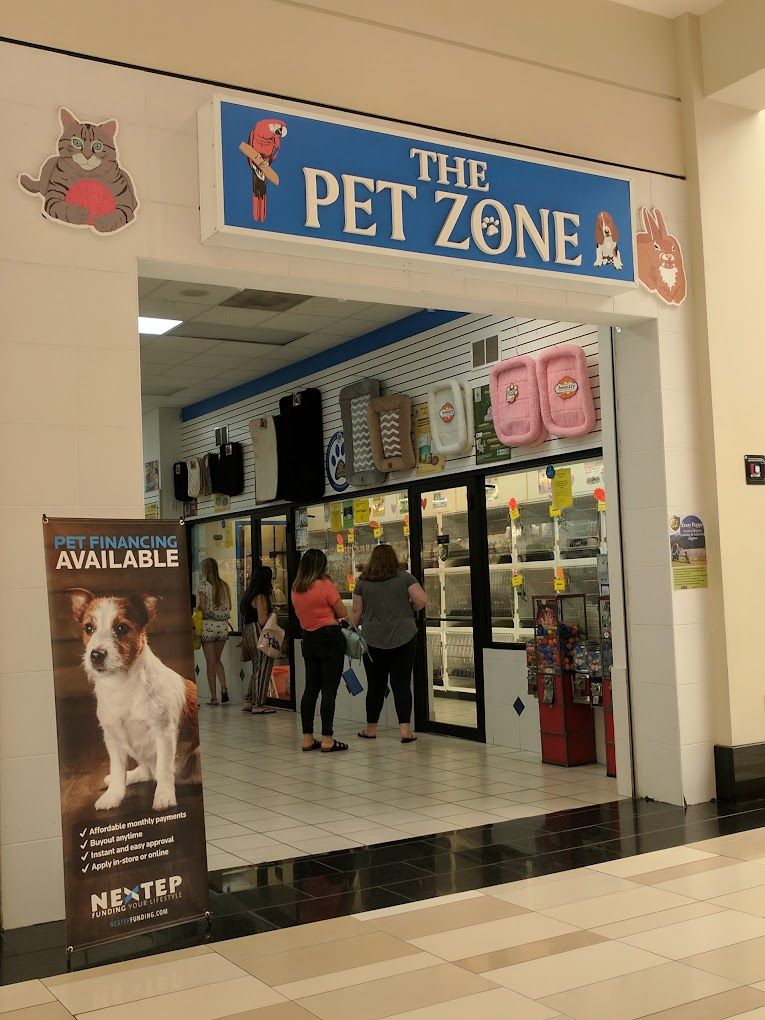 6 best pet stores in Albany New York