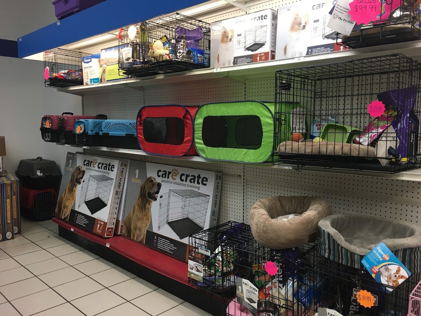 6 best pet stores in Albany New York