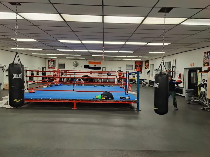 gyms Albany Boxing