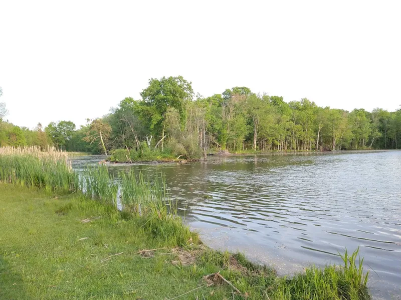 outdoor adventures Ann Lee Pond Nature and Historic Preserve