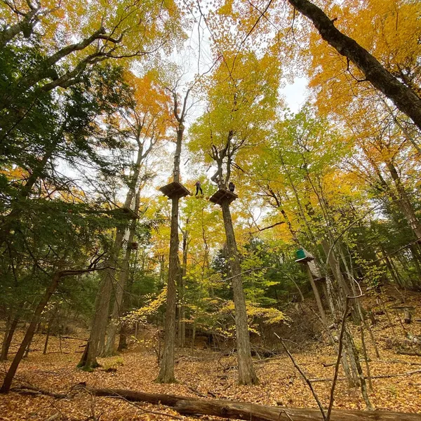 outdoor adventures WildPlay Thacher