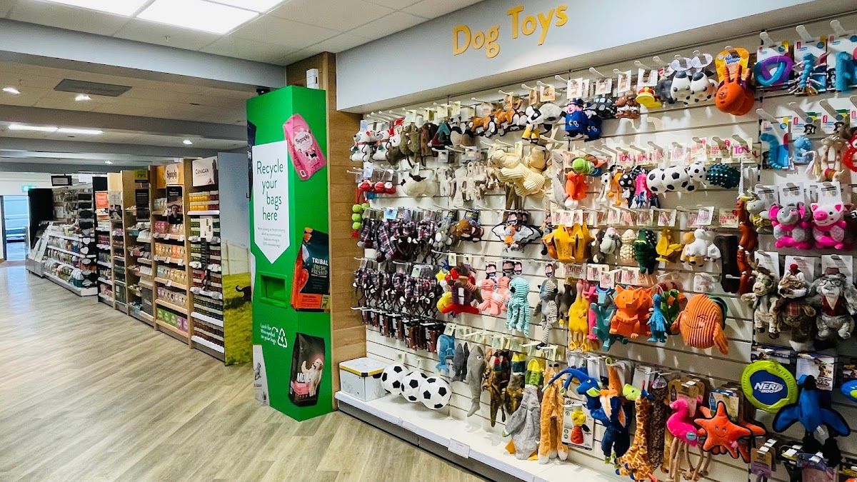 Dog toy shop stores near me