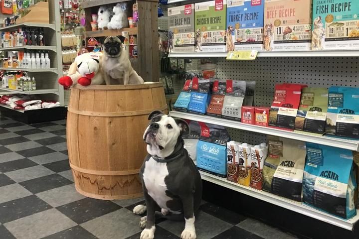 8 best pet stores in Schenectady New York