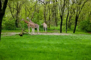 The 11 Best zoos in Hempstead New York