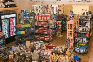 3 Best pet stores in Troy New York