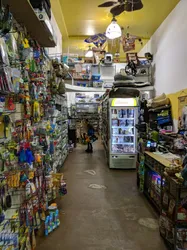 15 best pet stores in Upper West Side New York City