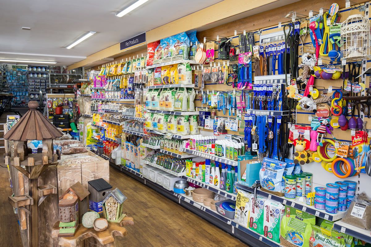 15 best pet stores in Upper West Side New York City