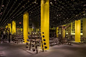 22 best gyms in Greenwich Village New York City