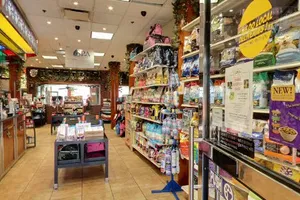 9 Best pet stores in West Village New York City