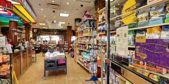 9 Best pet stores in West Village New York City