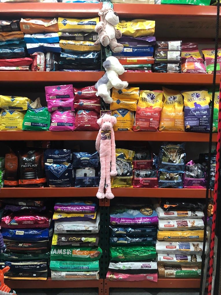 9 Best pet stores in West Village New York City