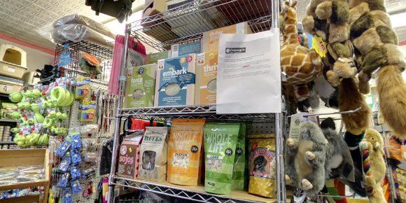 9 Best pet stores in West Village New York City