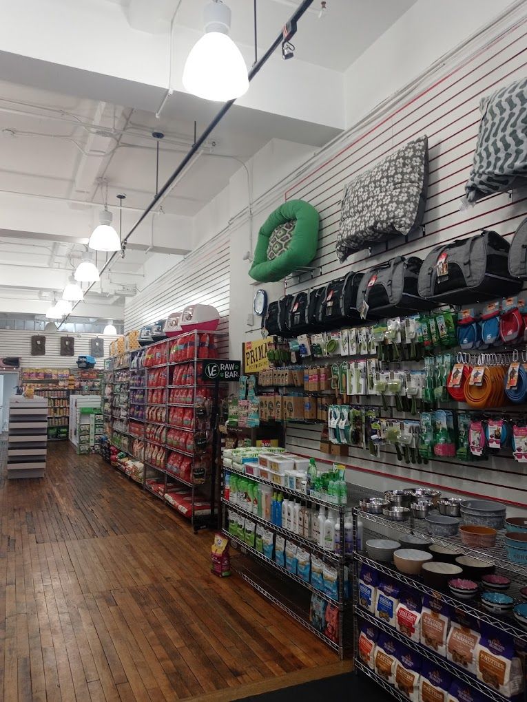 9 Best pet stores in West Village New York City