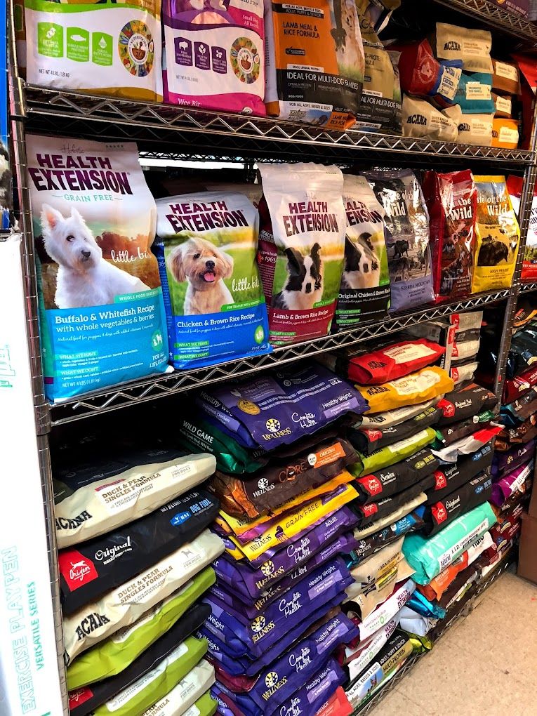 Chelsea 2024 dog store