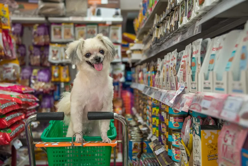 Zoe's Pet Shop