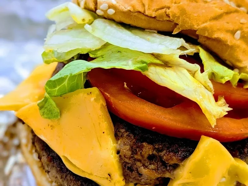 The 6 Best Places For Burgers In Park Slope New York City the-6-best-places-for-burgers-in-park-slope-new-york-city