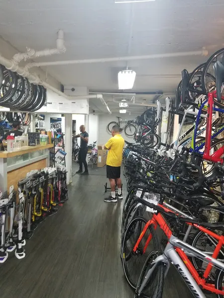 bike store Talent Cycles