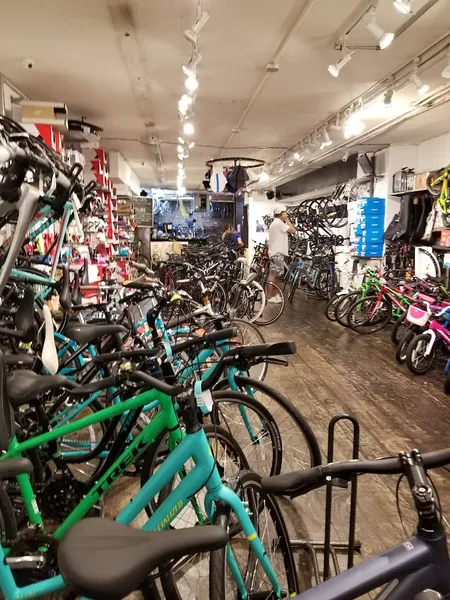 bike store Bicycle Habitat