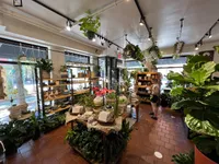 Top 11 florist in Upper West Side NYC