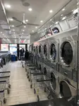 Best of 6 dry cleaning in Bedford-Stuyvesant NYC