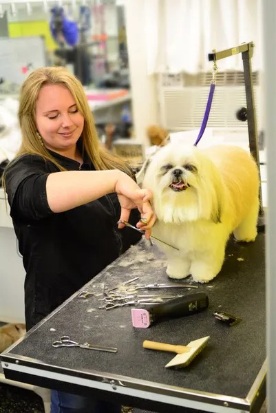 dog groomers Camp Canine