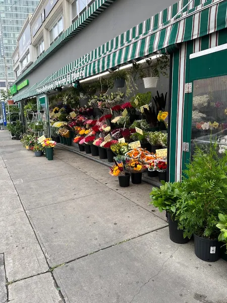 flower shop bklyn