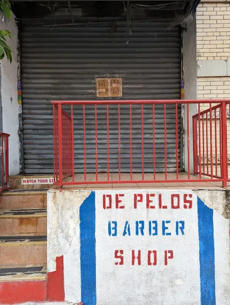 De Pelos Barber Shop Corporation