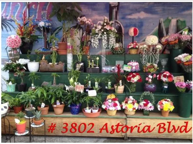 florist Modesto Cotrina - Floral Designer