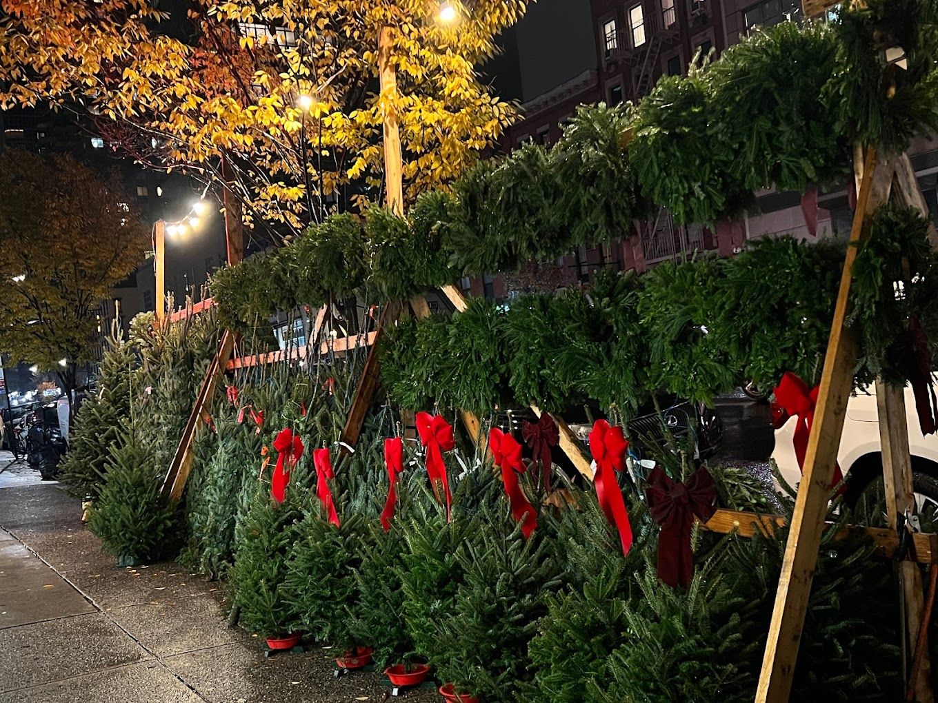 Top 9 Christmas Tree Farms In New York City