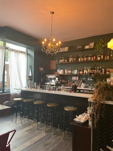 Top 15 cocktail bar in Ridgewood NYC