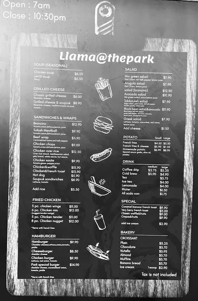 Llama @ the park