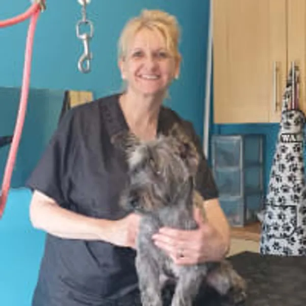 dog groomers Lucky Paws Pet Grooming LLC