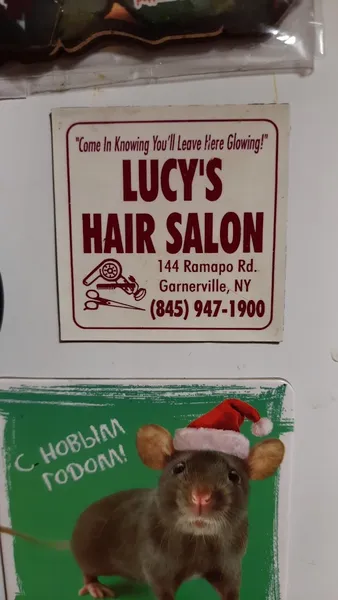 Lucy's Hair Salon