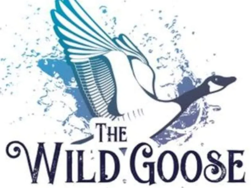 The Wild Goose Pub, NYC