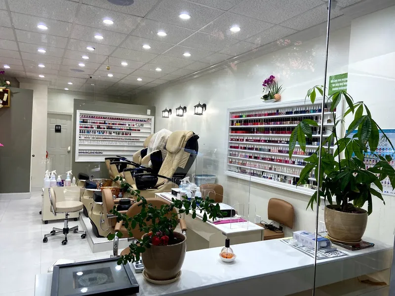 D n S Beauty Salon