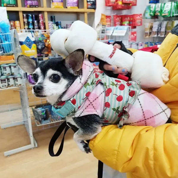 dog groomers Coco and Toto