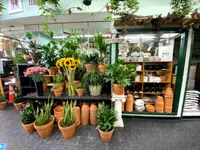 Best of 14 florist in Greenpoint NYC