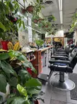 Best of 10 hair salons in Hollis NYC