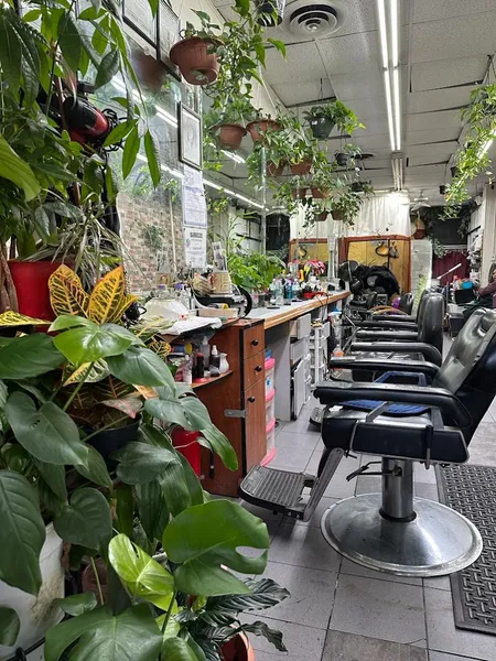 hair salons Farah's Ujala Beauty Salons in Hollis