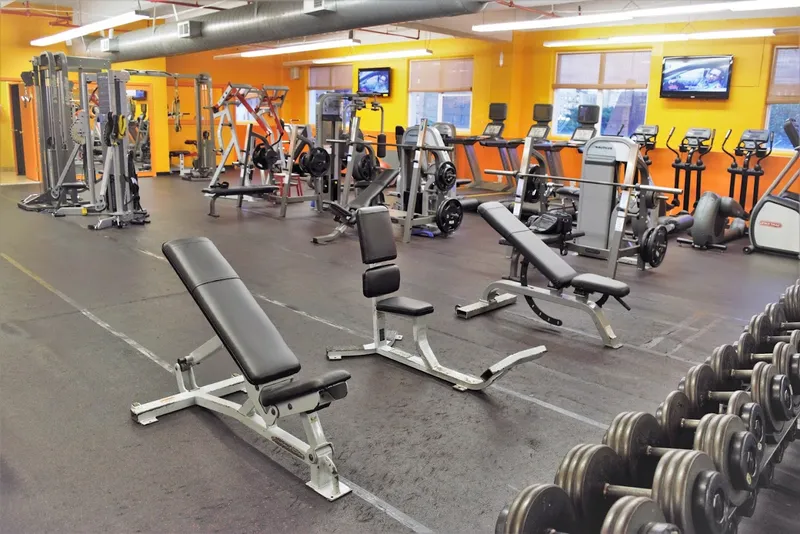 gyms Fitness GalleryNY