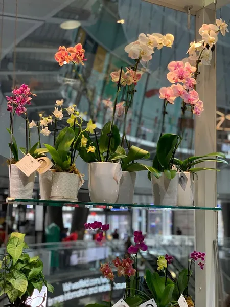 florist Damselfly Flowers @ Fulton Center